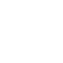 disc brake